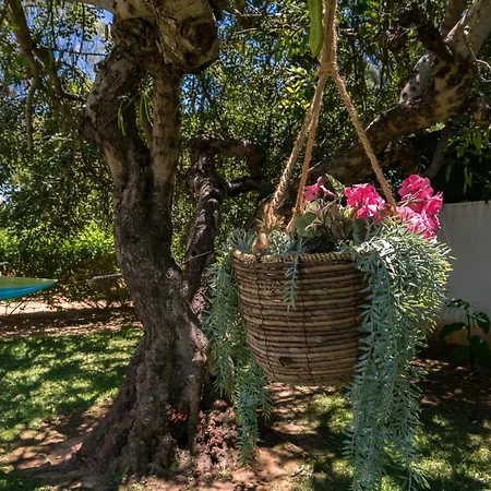アパート Casa Costa E Silva By Intiholidays *